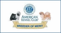 AKC Breeder of Merit