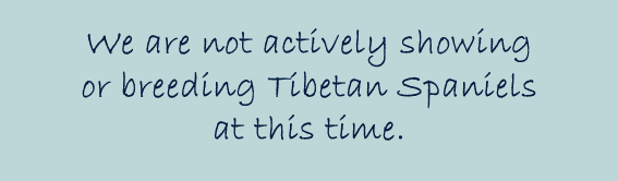 We are not actively showing or breeding Tibetan Spaniels at this time.