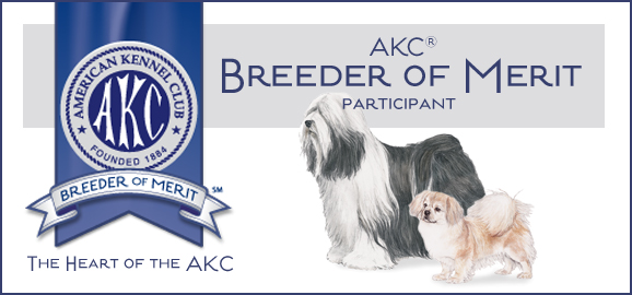 AKC Breeder of Merit – Bluvali Tibetans